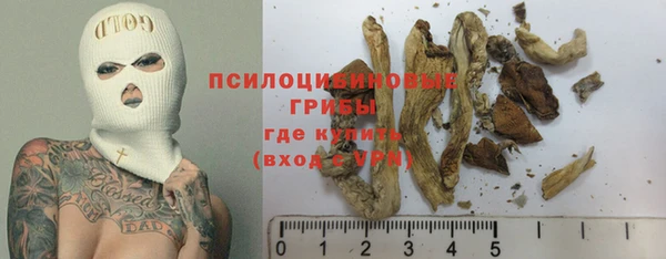 прущие грибы Алексеевка