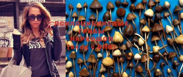 герыч Алзамай