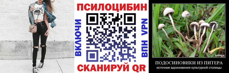 сайты даркнета Telegram  Ивдель  Псилоцибиновые грибы Psilocybe  мега как войти 